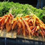 carrots in a bunch