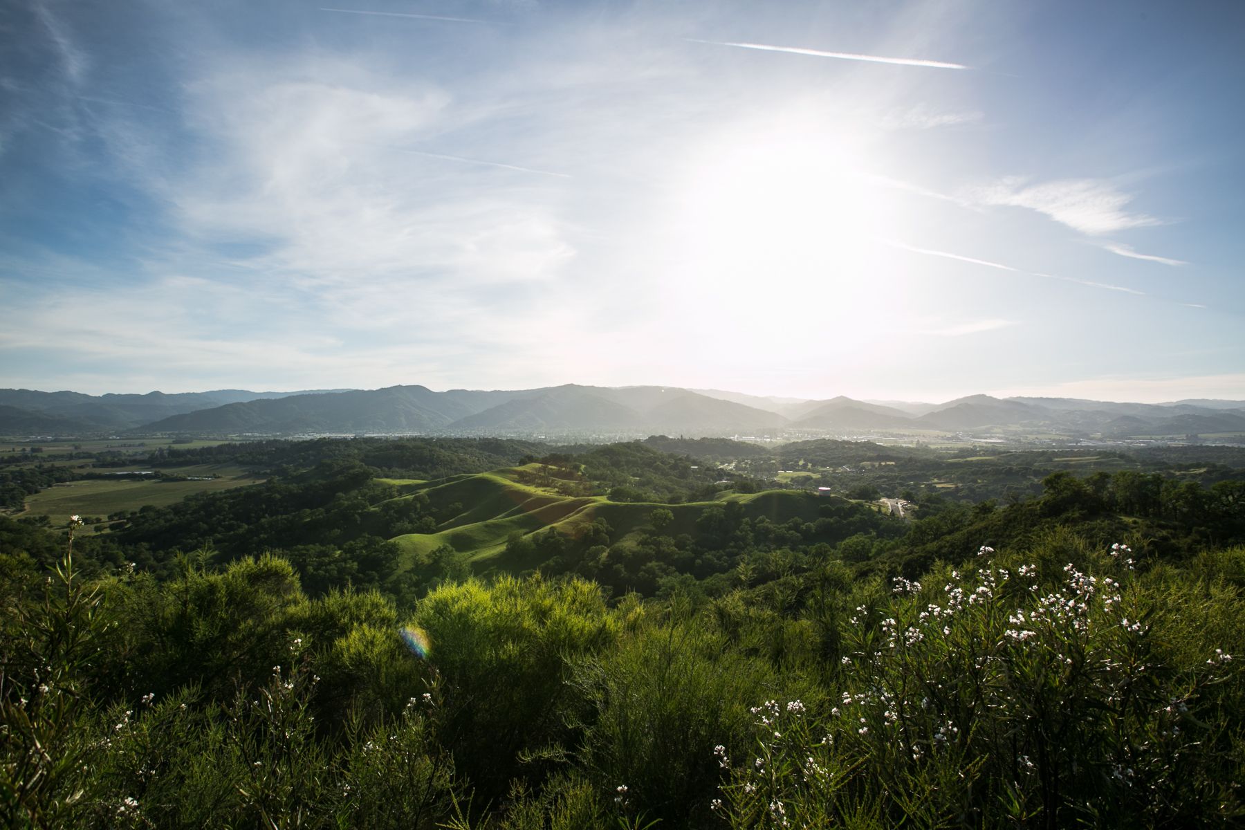 Cow Mountain