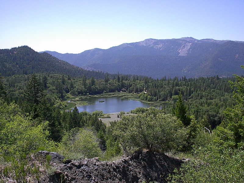 Mendocino National Forest