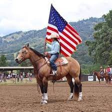 girl on a horse with American flag