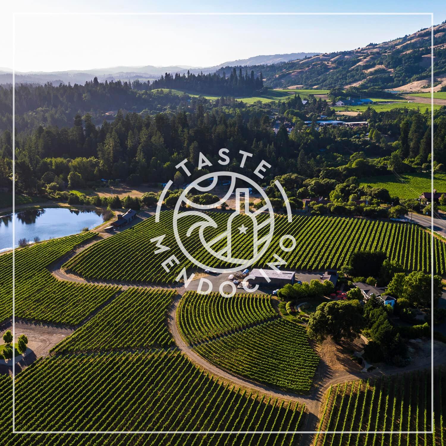 taste mendocino