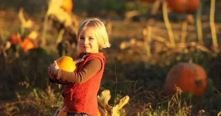 Skunk Train pumpkin express