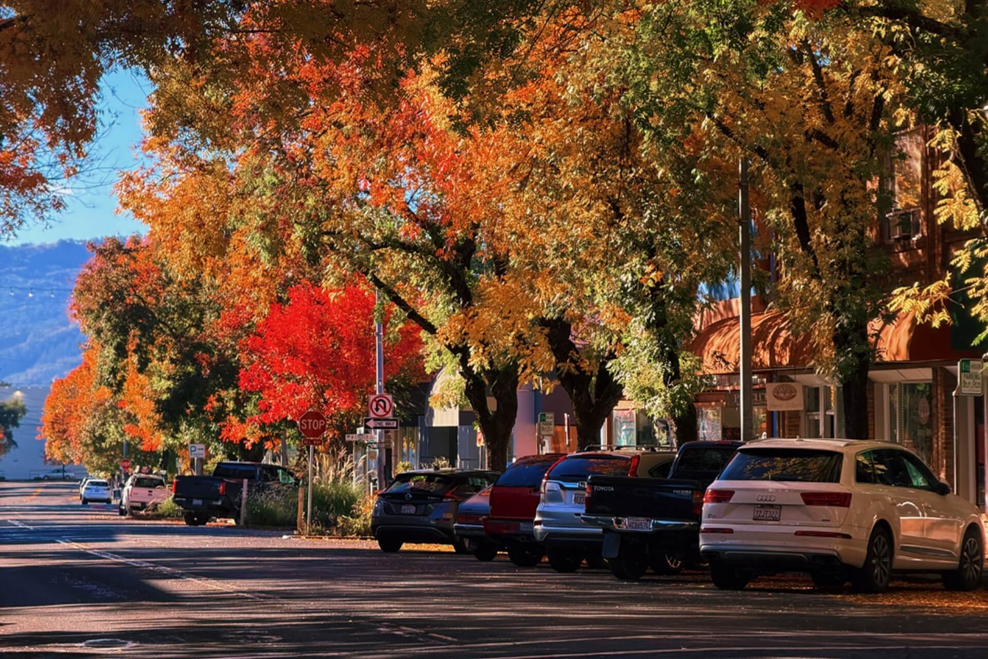 Greater Ukiah Business and Tourism Alliance - Shopping