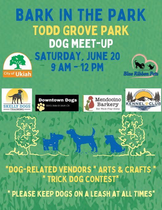 Bark in the Park