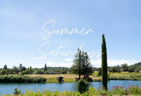 Testa Vineyard's Home Ranch