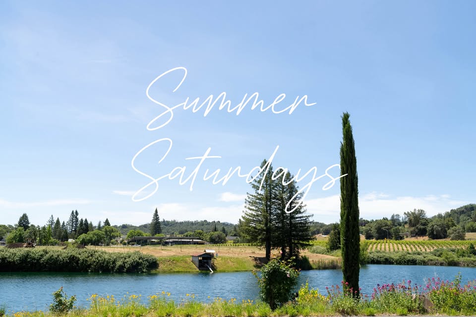 Testa Vineyard's Home Ranch