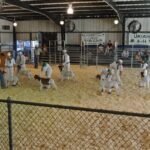 kids with animals