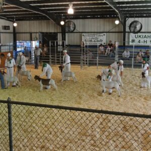 kids with animals