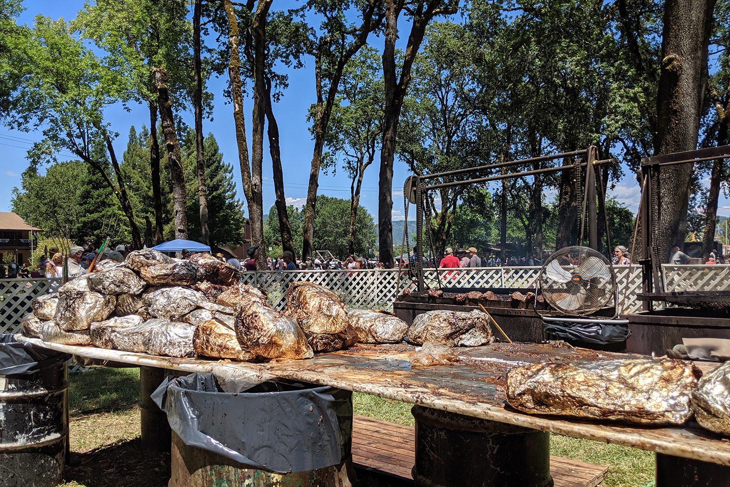 Willits Frontier Days BBQ
