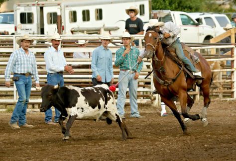 Willits Frontier Days