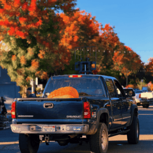 truck with pumpkin decoration inside