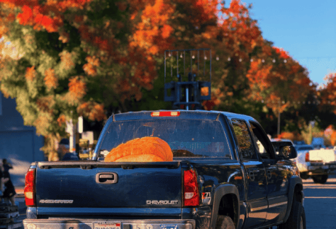 truck with pumpkin decoration inside