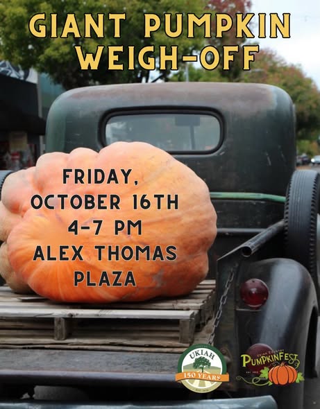 Giant pumpkin on back of truck