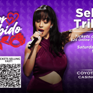 Amor Prohibido Concert